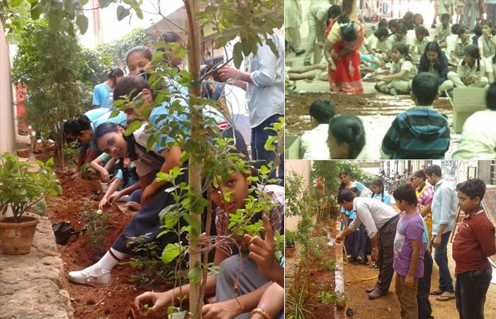 "Nurture Nature" - to inculcate this value in students Sishya school in collaboration with The People's Society of Hosur headed by Mr. Prasad ,the Principal, staff and all the students of Sishya School, Hosur pitched in and prepared nearly 8000 seed balls and planted them in their school.