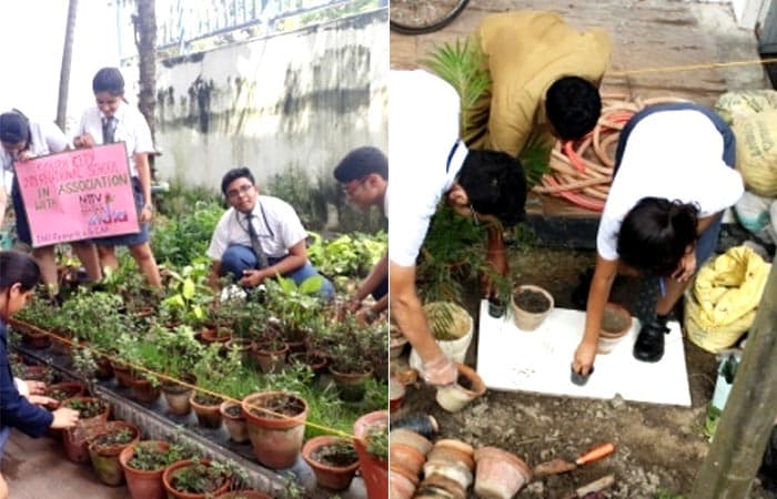 As part of Behtar Indian campaign, South City International School not only conducted a plantation drive, but also cleaned the area by removing the unwanted plants and unused materials. Along with this, the members of interact club addressed the students and told them about the need of plantation.