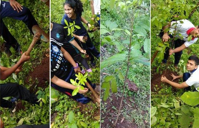 Around 43 students along with staff members of Vidya Vikas Academy, Goa, planted saplings on a barren area designated by forest officials at Balli, Goa.