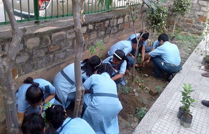 The students of Vivekanand School, Anand Vihar actively participated in Behtar India campaign stage 3 and planted 500 saplings in the school.