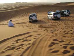 Dune Bashing Dune Bashing