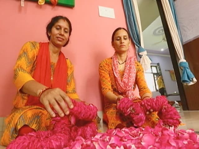 Extracting Natural Dyes From Plants And Plant Waste To Make Sustainable Products