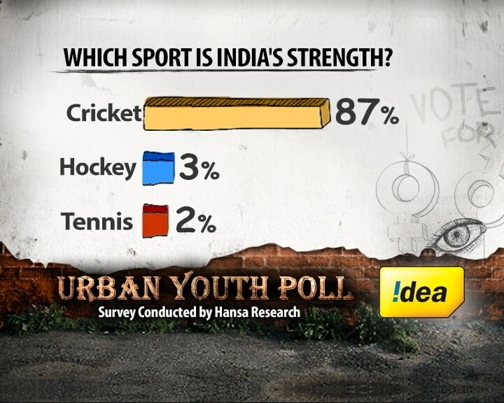 What the youth believe India excels at...