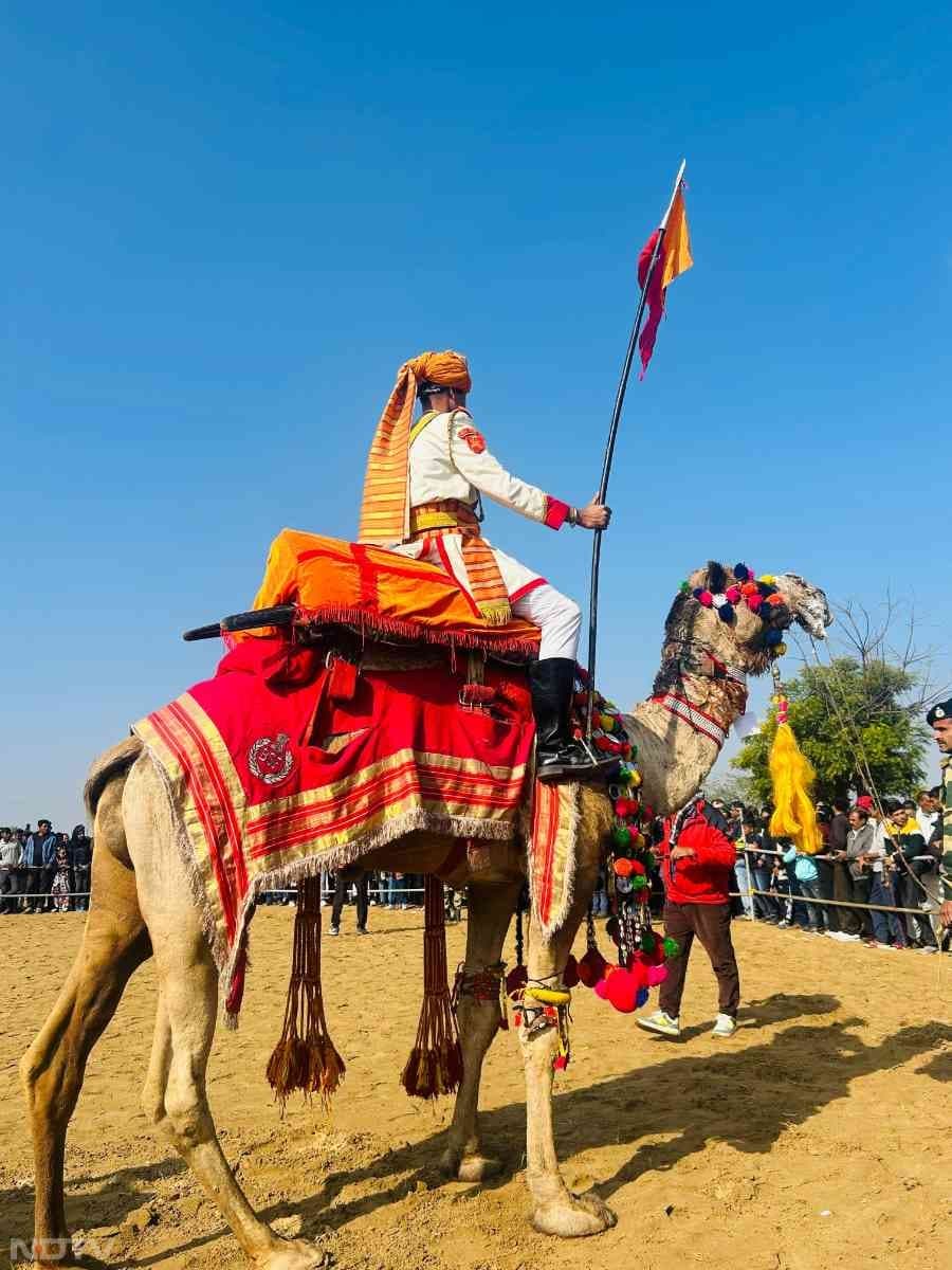 रॉयल ऊंट के करतब को दिखाते व्यक्ति ने लोगों का काफी रोमांचित किया.