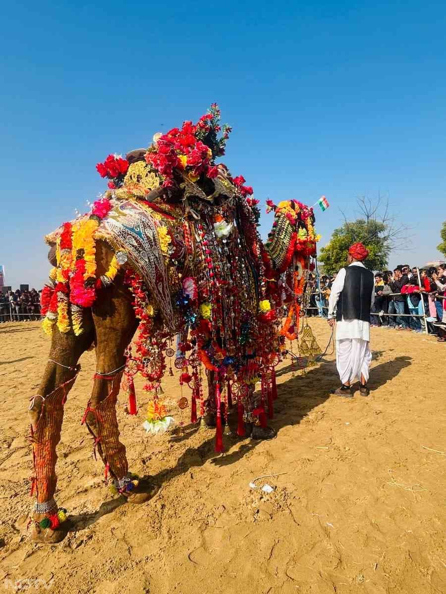 राजस्थान की पारंपरिक ऊंट सज्जा ने सबको बेदह आकर्षित किया. इसमें ऊंट को पारंपरिक तरीके से सजाया गया था.