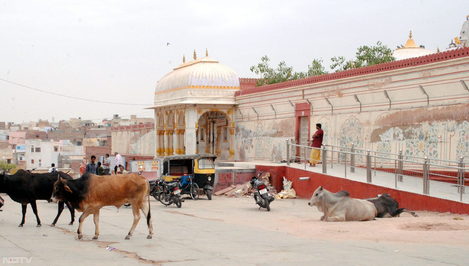 सरकार ने किया सौतेला व्यवहार