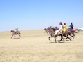 Photo : Jaisalmer Desert Festival: डेजर्ड फेस्टिवल में सिंधी नस्ल के घोड़ों ने लगाई दौड़, कार-जीप को भी छोड़ा पीछे, देखें Photos