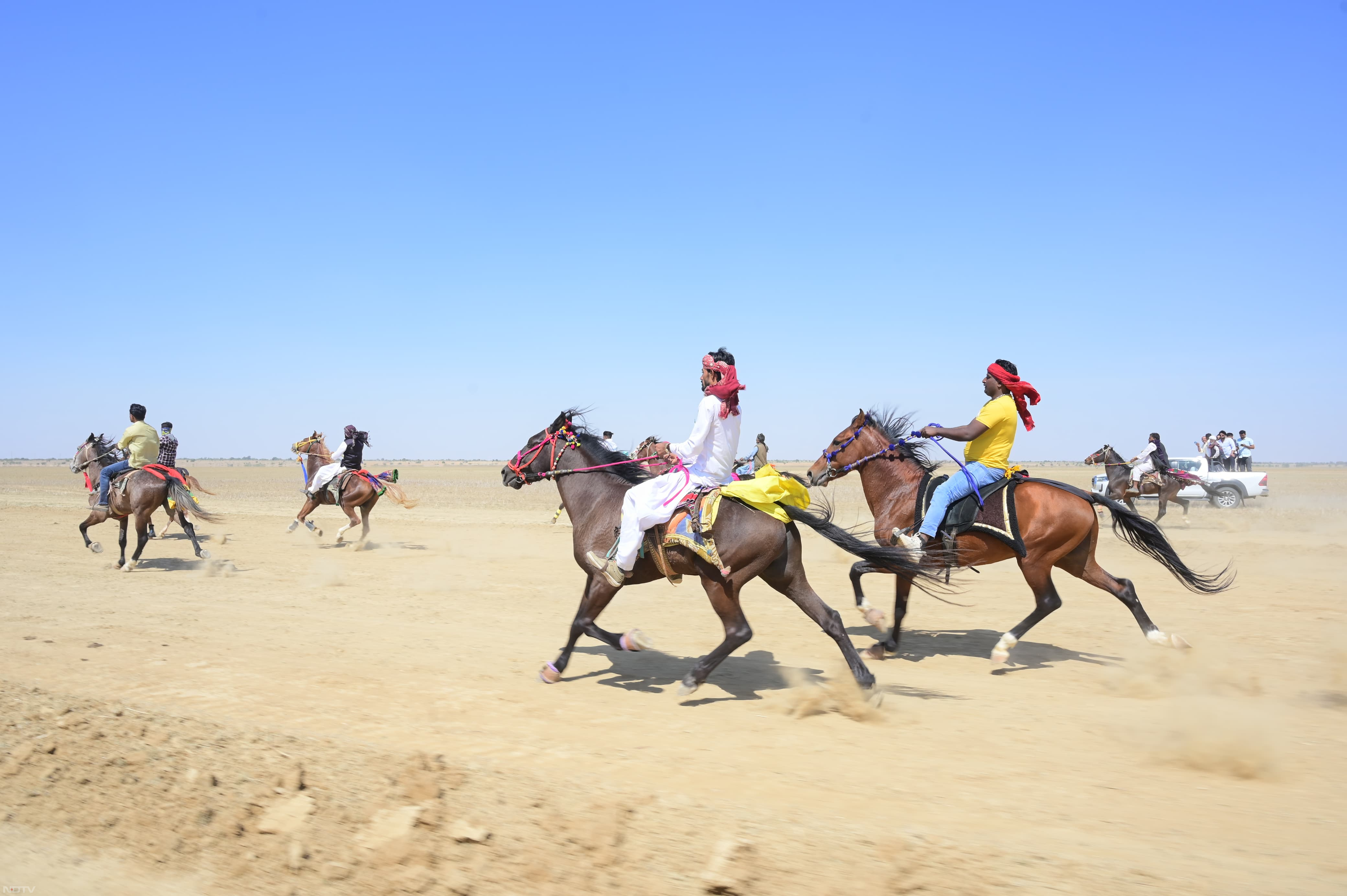 Jaisalmer Desert Festival: डेजर्ड फेस्टिवल में सिंधी नस्ल के घोड़ों ने लगाई दौड़, कार-जीप को भी छोड़ा पीछे, देखें Photos