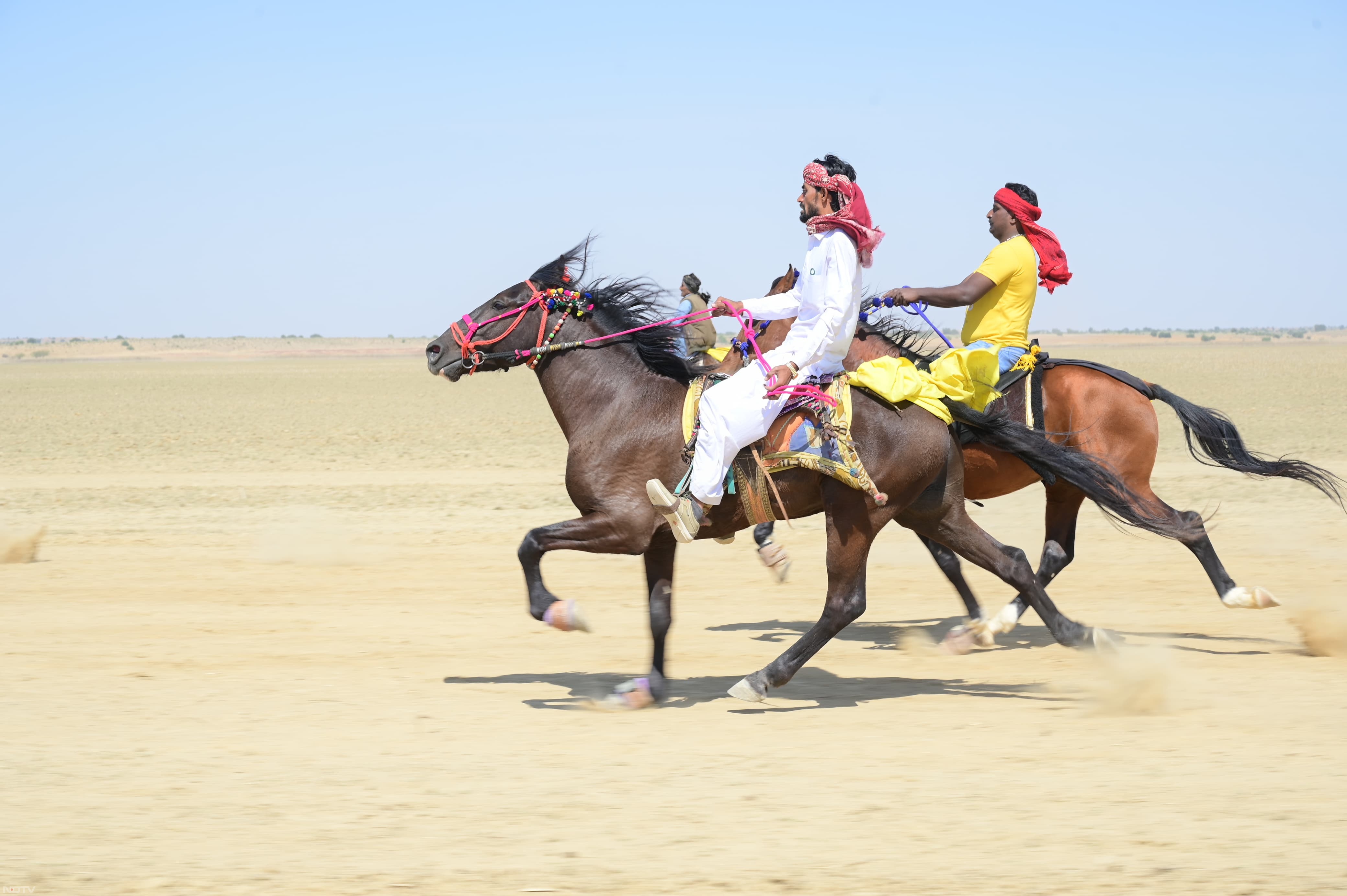 Jaisalmer Desert Festival: डेजर्ड फेस्टिवल में सिंधी नस्ल के घोड़ों ने लगाई दौड़, कार-जीप को भी छोड़ा पीछे, देखें Photos