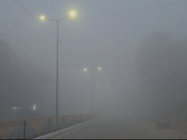 In pics: धुंध की कैद में करौली, सीकर और धौलपुर, लाइटों के सहारे रेंग रही गाड़ियां,  तस्वीरों में देखे सफेद चादर में लिपटी हुईं सड़कें