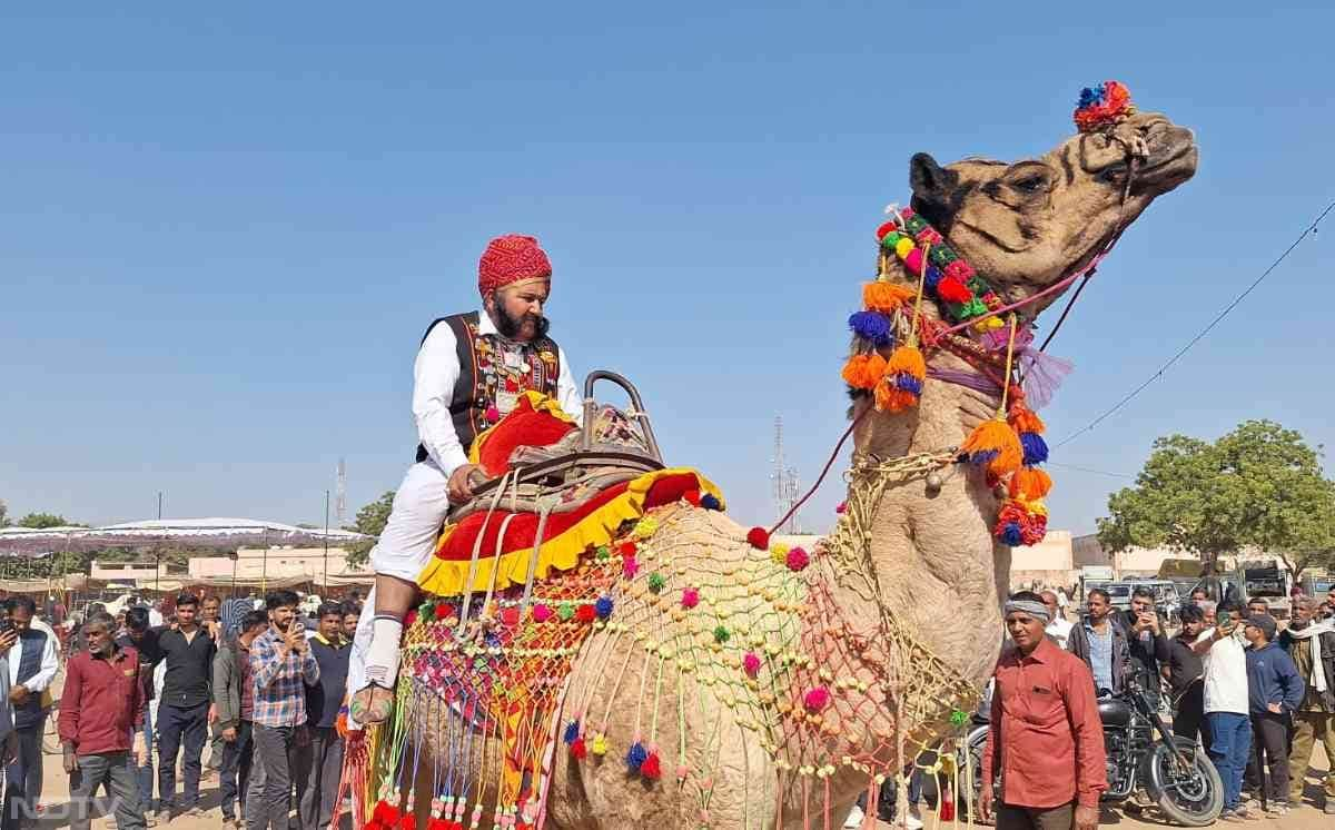 मूंछ प्रतियोगिता में भाग लेने वाले व्यक्ति भी अपनी राजस्थान की संस्कृति को दिखाते हुए देशी परिवेश में रंग-बिरंगे कपड़े पहनकर पहुंचे.