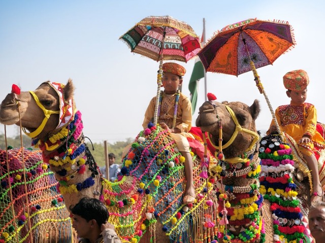 Pushkar Mela 2024: आंखों में सुरमा, पैरों में घुंघरू, और मखमली दुपट्टे पहने राजा बाबू बने ऊंट, तस्वीरें देखकर हो जाएंगे कायल