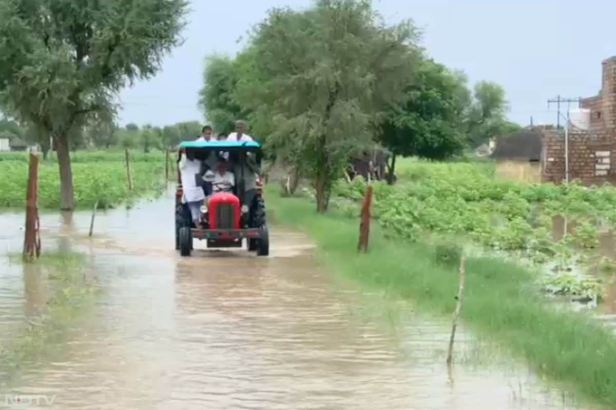 जोधपुर जिले के ओसियां में भारी बारिश से जल भराव वाले गांवों का ओसियां विधायक भैराराम सियोल ने ट्रैक्टर  पर बैठकर खराब हुई फसलों का जायजा लिया.