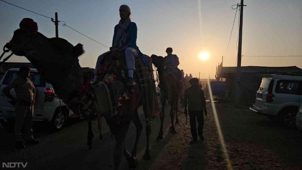 राजस्थान के अजमेर जिले के पुष्कर में सबसे बड़े अंतरराष्ट्रीय पशु मेले की शुरुआत 2 नवंबर को हो गई है, जिसमें देसी-विदेशी पर्यटक संस्कृति का संगम देख सकते हैं.