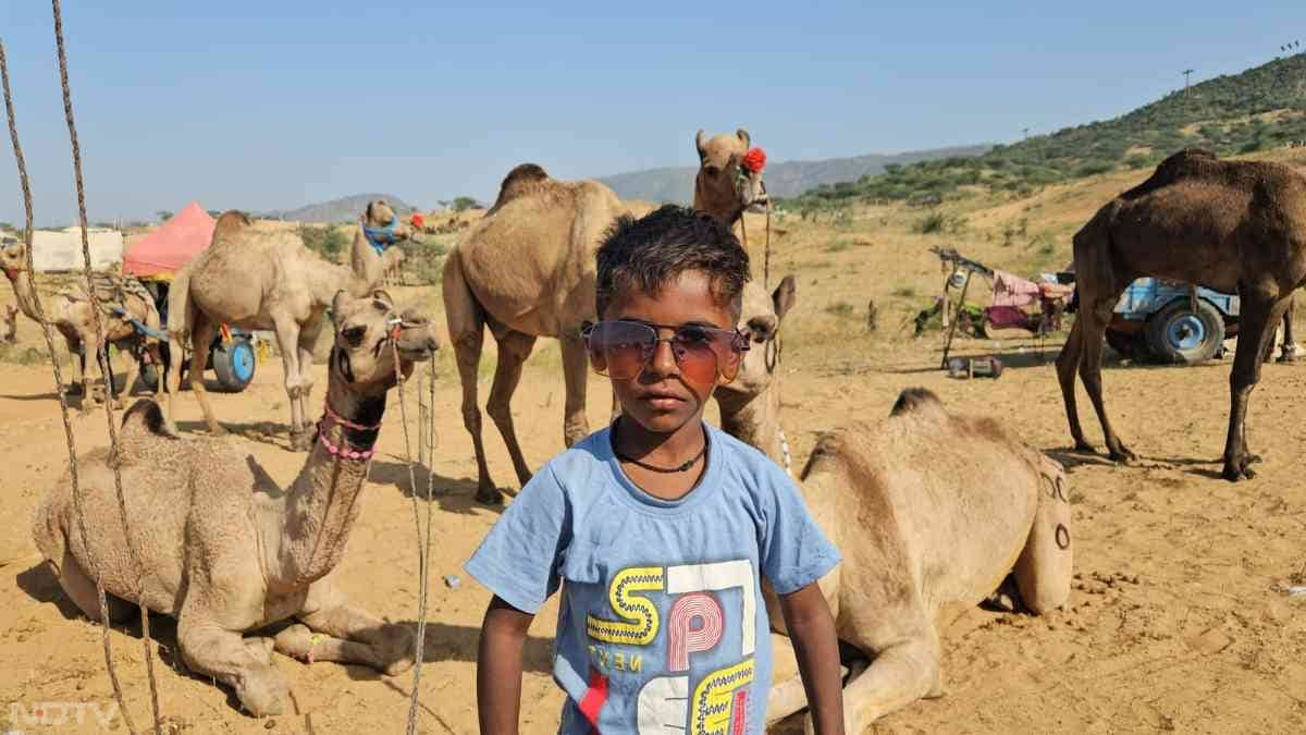 पशुपालकों के लिए प्रशासनिक चौकियां लगाई जाएंगी और प्रशासनिक सुविधाएं उपलब्ध कराई जाएंगी.