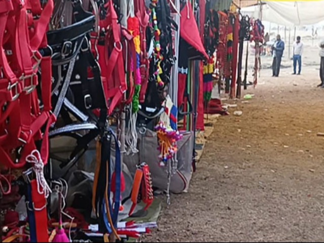 चंद्रभागा मेले में देखें 'पशुओं के ब्यूटी पार्लर' की ये अनोखी तस्वीरें