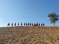 Photo : इंडिया बुक ऑफ रिकार्ड्स में दर्ज हुआ रेगिस्तान में सबसे लम्बी घुड़सवारी का रिकॉर्ड, देखें फोटो