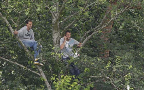 Cricket fans watch from trees outside the ground on the third day of the first Ashes Test between England and Australia in Cardiff. (AP Photo) Ashes: 1st Test, Day 3