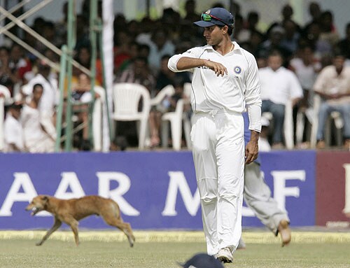 Sourav Ganguly looks on as ground staff chase a stray dog that invaded the ground during fourth day of the second Test between India and Sri Lanka in Galle on August 3, 2008. 2nd Test, Day 4: India vs SL