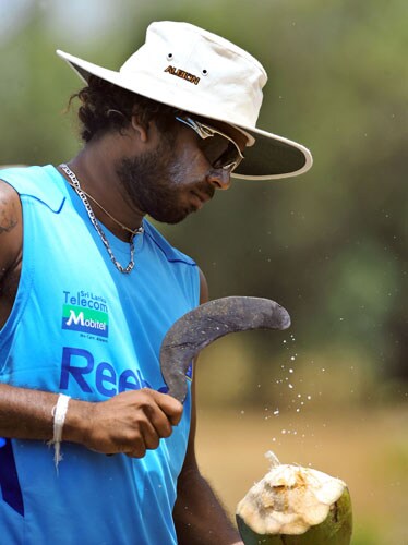 Lasith Malinga cracks open a king coconut during a practice session at the Rangiri Dambulla International stadium in Dambulla. (AFP Photo) Lanka in nets at Dambulla