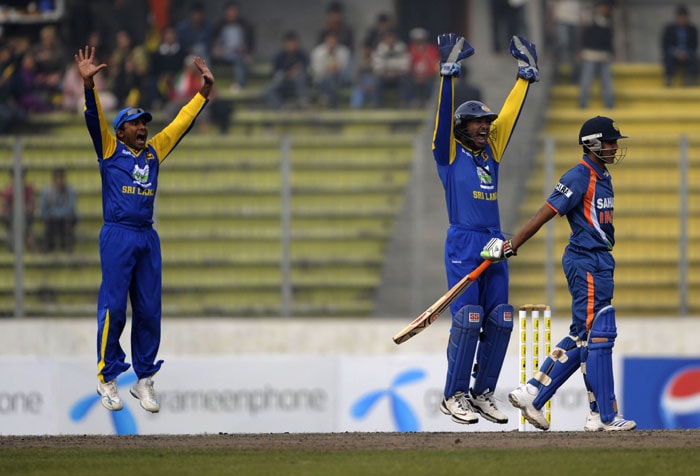 Kumar Sangakkara and teammate Mahela Jayawardene appeal as Ravindra Jadeja looks on during the tri-series final between India and Sri Lanka at the Sher-e Bangla National Stadium in Dhaka. (AFP Photo) Tri-series Final: India vs SL