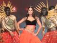IPL 6 Opening Ceremony
