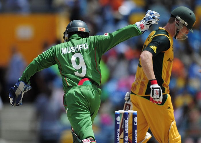 Bangladeshi wicket keeper Mushfiqur Rahim celebrates as Australian batsman Brad Haddin is dismissed during the ICC World Twenty20 Group A match between Bangladesh and Australia at the Kensington Oval. (AFP Photo) WT 20: Aus vs Ban