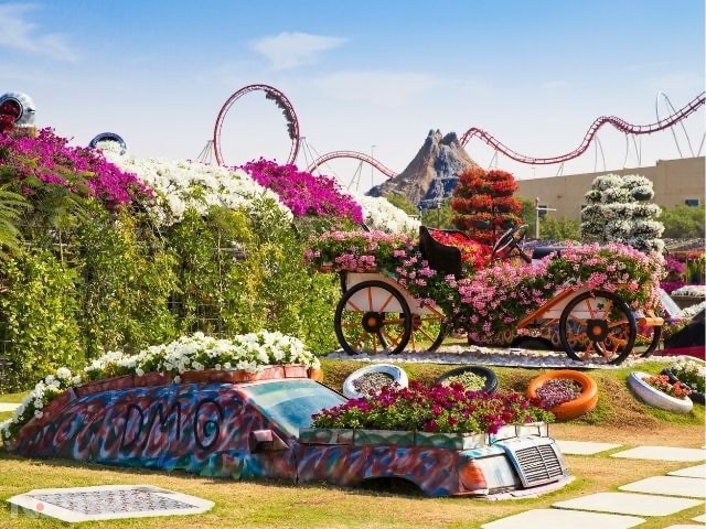 Explore Dubai Miracle Garden: Discover nature's beauty in a floral masterpiece, marveling at 45 million flowers in heart-shaped beds and intricate sculptures. Capture Instagram-worthy moments with breathtaking displays for both Instagram and nature enthusiasts.