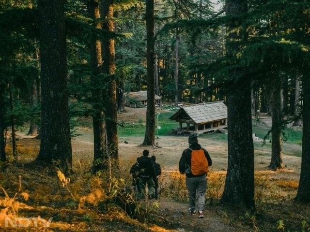 1. Jibhi, Himachal Pradesh

Tucked away in Himachal's Banjar Valley, Jibhi is a quiet hill town surrounded by pine forests, waterfalls, and wooden cottages. A peaceful stay and slower pace define this place.