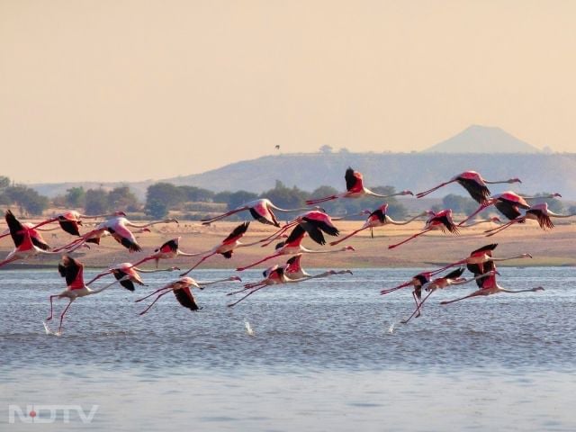 4. Banswara, Rajasthan

Nicknamed the City of Hundred Islands, Banswara is filled with lakes, dense forests and tribal culture. It feels far removed from the sand dunes Rajasthan is known for.