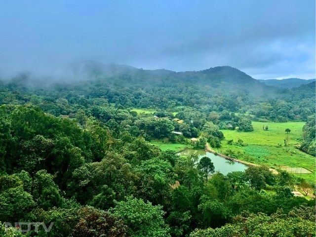 3. Coorg, Karnataka
Coorg is a coffee lover's haven, surrounded by plantations and dense forests. The cool breeze and scenic trails make it a favourite for quiet getaways and weekend breaks.