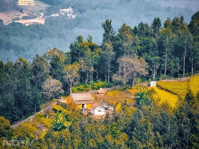 5. Yercaud, Tamil Nadu
This lesser-known hill station sits in the Shevaroy Hills and is ideal for those seeking quietude. Yercaud offers scenic views, walking trails, and cool, comfortable weather.