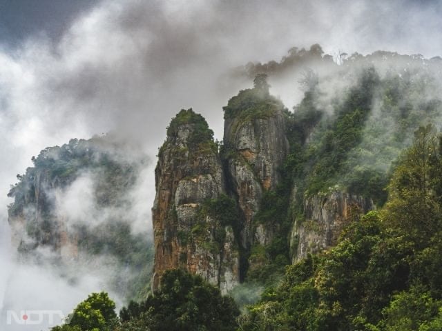 4. Kodaikanal, Tamil Nadu
Known as the 'Princess of Hill Stations,' Kodaikanal offers peaceful lakes, pine forests, and hidden waterfalls. It remains one of Tamil Nadu's most beloved mountain escapes.