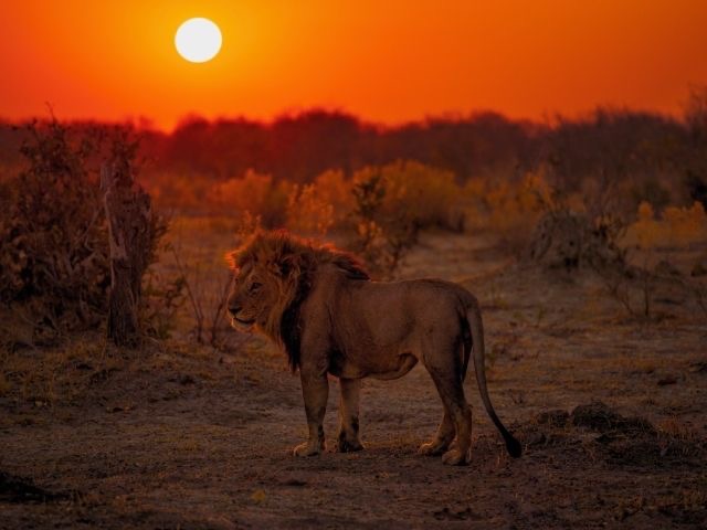 7 Safari Parks That Give You Front-Row Seats To The Animal Kingdom