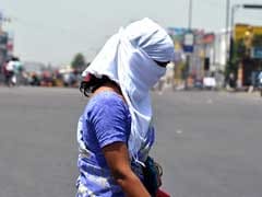 Heat Wave Claims Over 1800 Lives