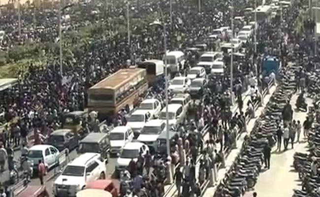 For Jallikattu, Massive Protests In Chennai For Over 20 Hours: 10 Developments For Jallikattu, Massive Protests In Chennai For Over 20 Hours: 10 Developments