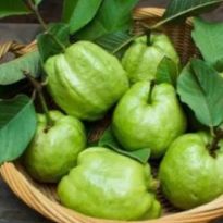 Diabetes Diet: 5 Best Low Sugar Fruits Diabetics Can Enjoy