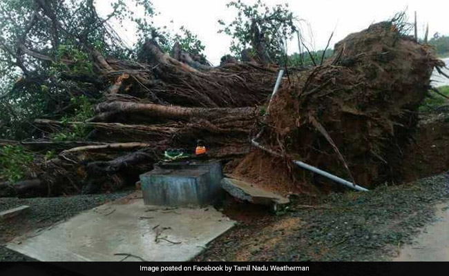 Cyclone Ockhi Live Updates: 7 Dead In Kerala And 6 In Tamil Nadu; Lakshadweep On Red Alert