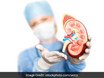 World Kidney Day 2018 - All You Need To Know About Kidney Disease