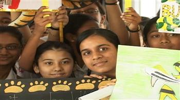 Save the Tiger, a kid's initiative