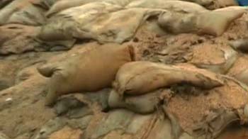 बरबाद हो रहा सरकारी अनाज