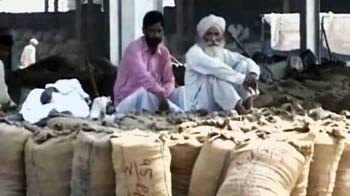 Videos : कपास किसानों की हालत खस्ता