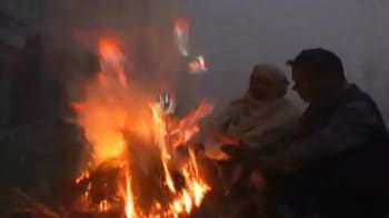 Video : Cold wave intensifies across north India, 26 dead