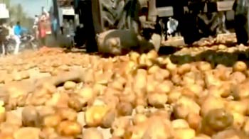 किसानों ने 250 ट्रेक्टर आलू सड़क पर फेंका किसानों ने 250 ट्रेक्टर आलू सड़क पर फेंका