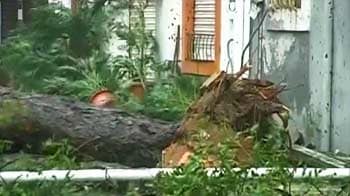 Video : Cyclone Thane: Ground Zero report from Chennai