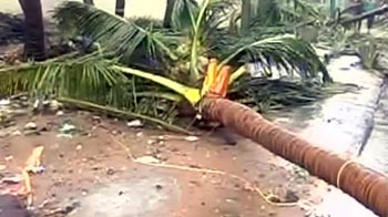 तूफान 'ठाणे' ने अब तक ली 42 की जान