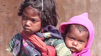 Video : Tribals' battle against hunger
