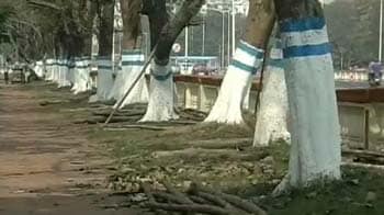 Video : Kolkata gets the blues