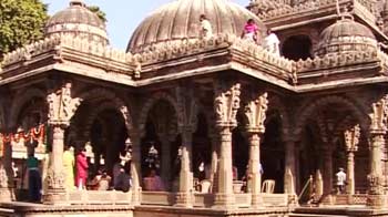 Video : Ahmedabad's tree of life