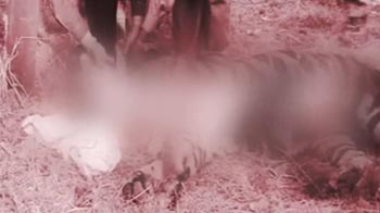 The Panna turnaround